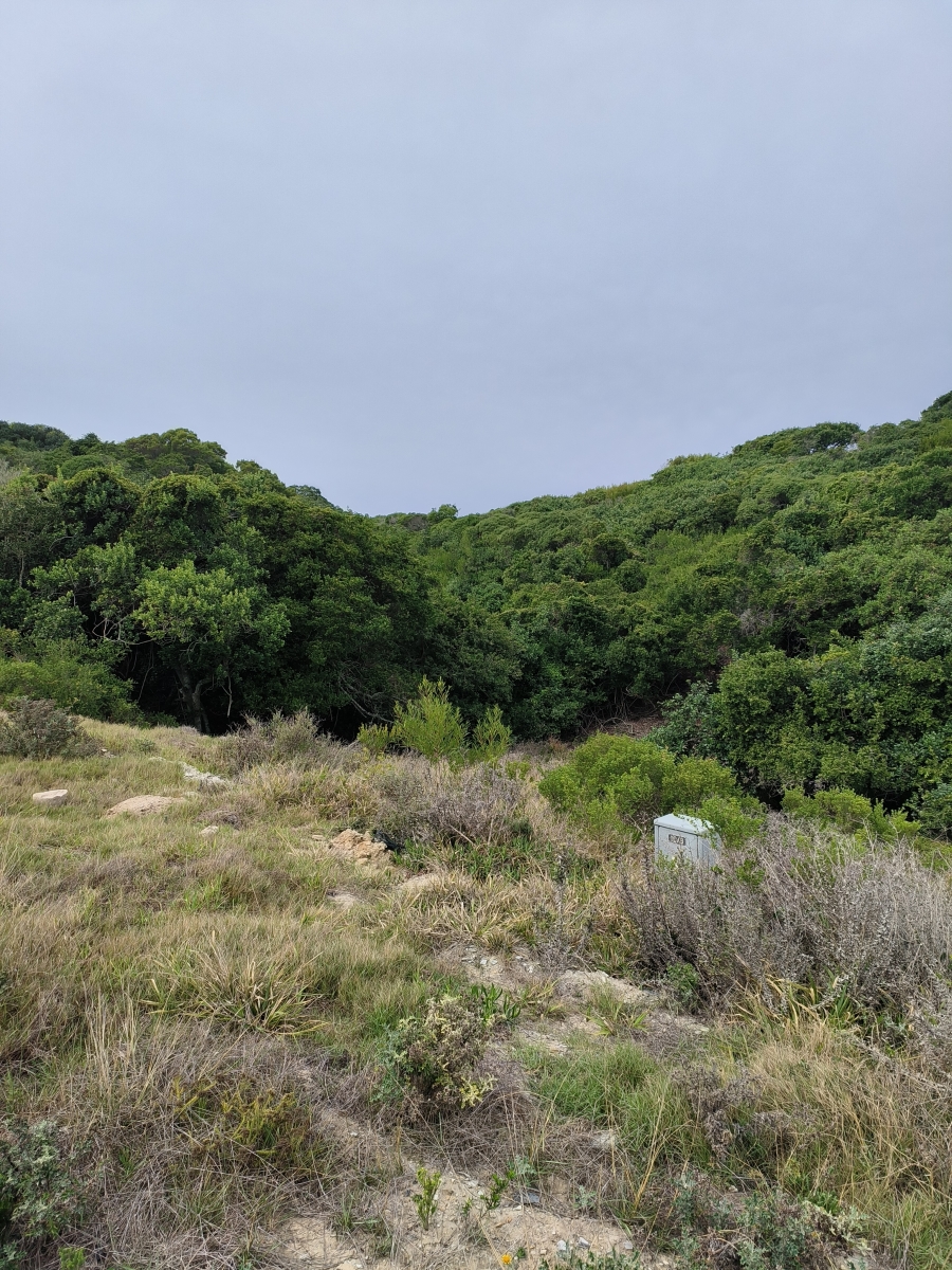 0 Bedroom Property for Sale in Paradise Beach Eastern Cape